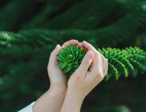 Confinement : jour 40