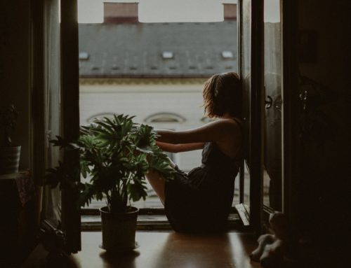 Confinement : jour 42